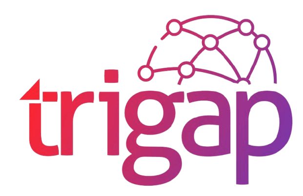 Trigap Solutions